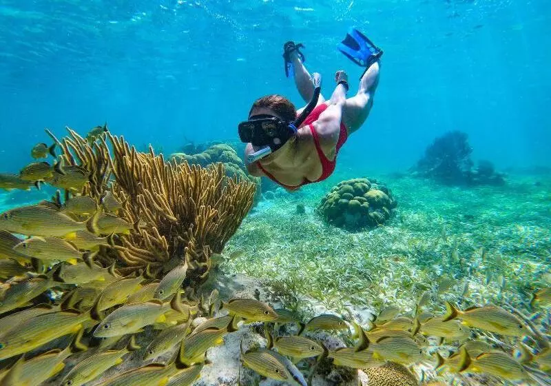 هتل Captain Morgan's Retreat