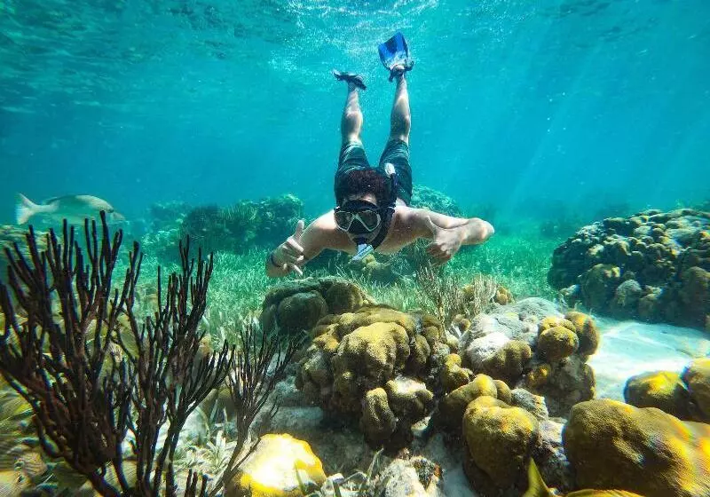 هتل Captain Morgan's Retreat