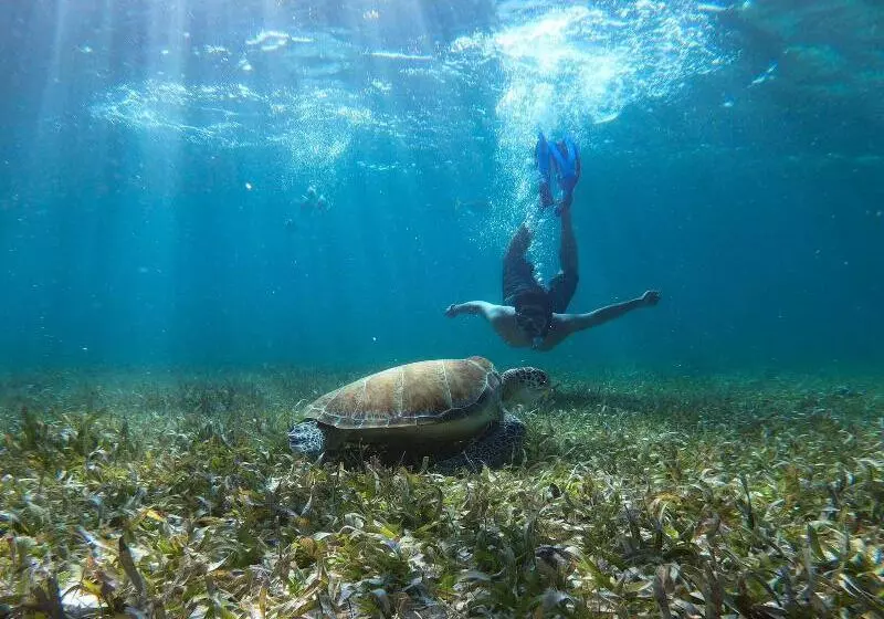 هتل Captain Morgan's Retreat