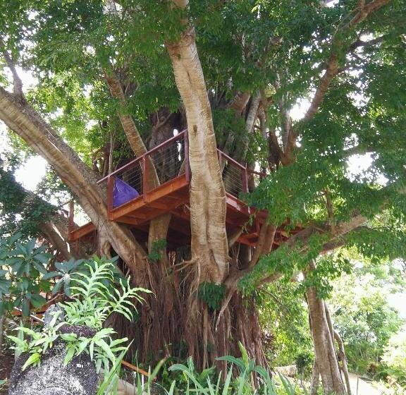 فندق Poppy S On The Lagoon