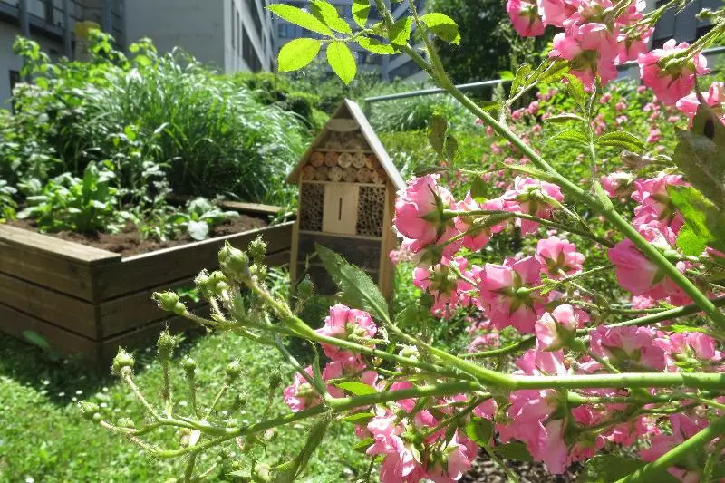 Novotel Suites Wien City Donau