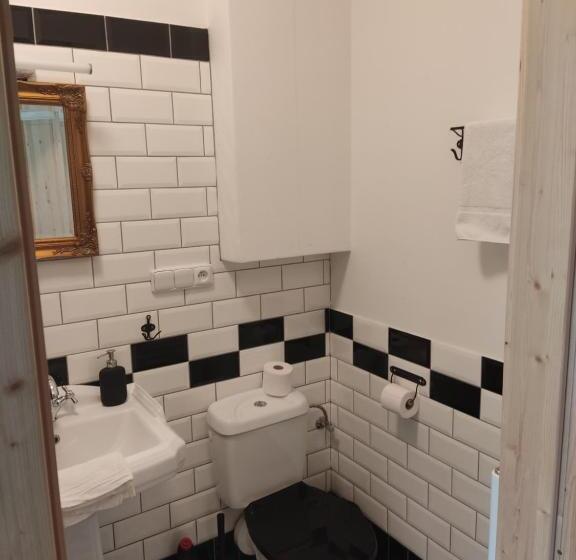 Пансион Vila Janáčkova   1st Republic Villa