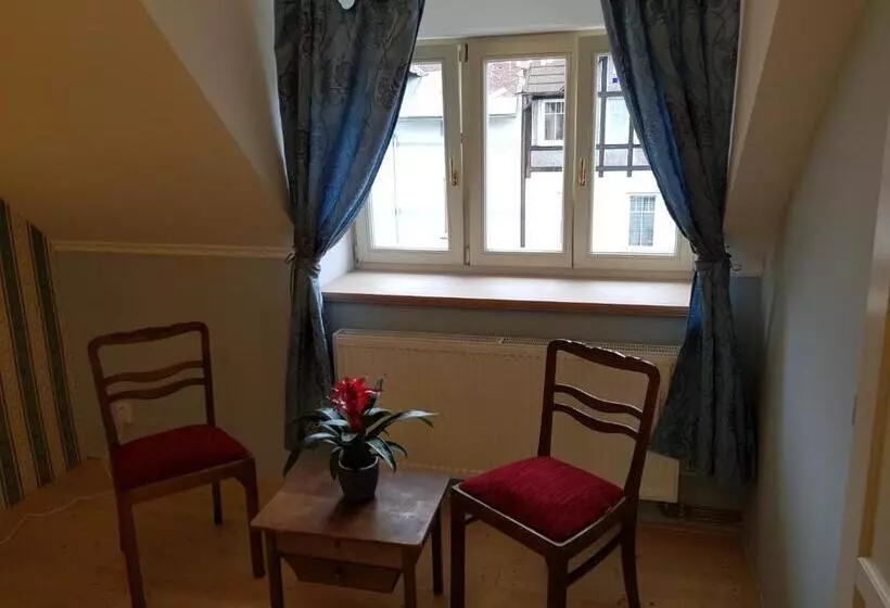 ペンション Vila Janáčkova 1st Republic Villa