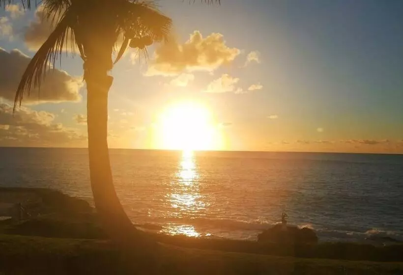 هتل Coco Reef Bermuda