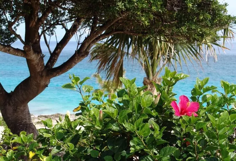هتل Coco Reef Bermuda