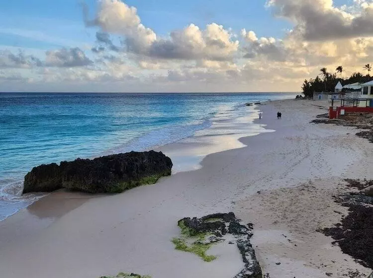 هتل Coco Reef Bermuda