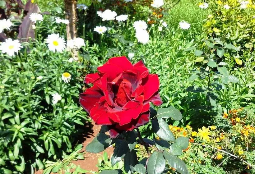 호텔 Quinta Splendida Wellness & Botanical Garden