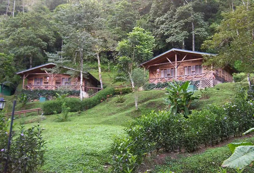 هتل Rio Perlas Spa And Resort