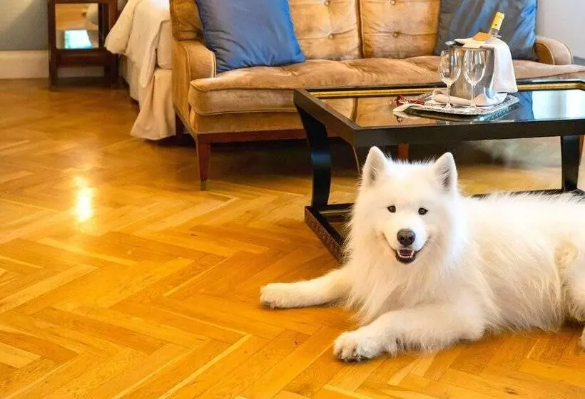 هتل The Mozart Prague By Accor