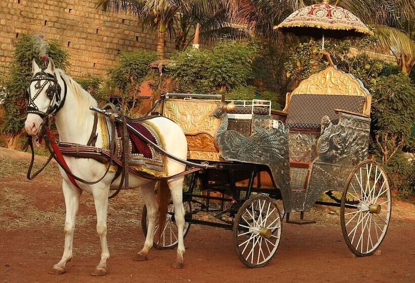 هتل The Raj Palace