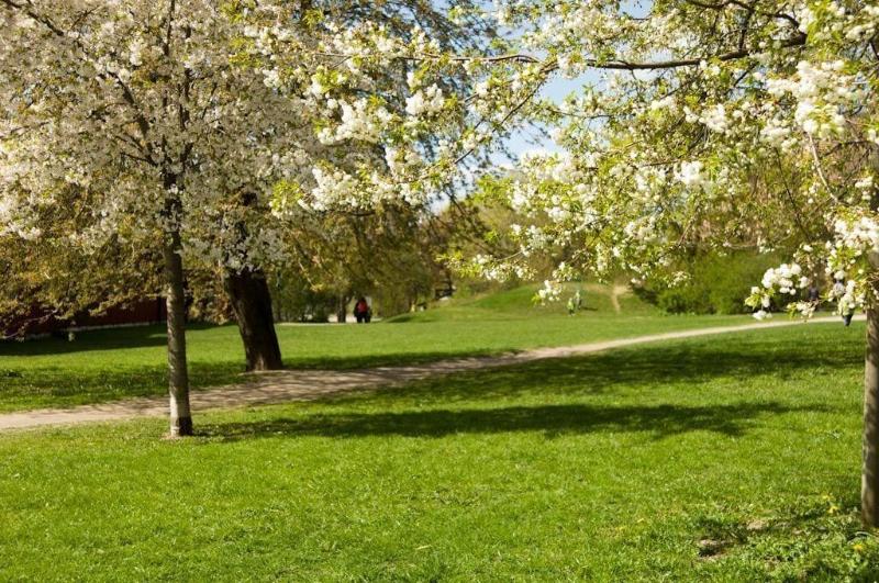 Stf Hotel Zinkensdamm