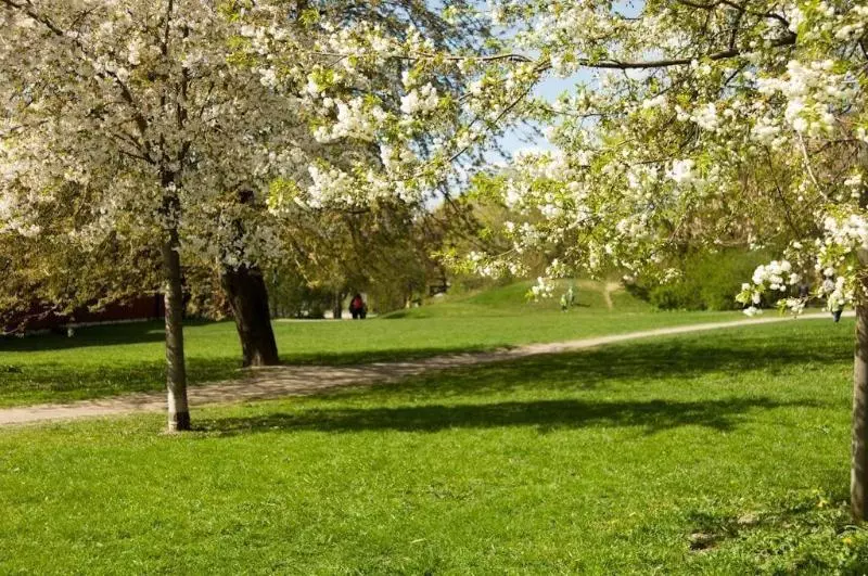 Stf Hotel Zinkensdamm