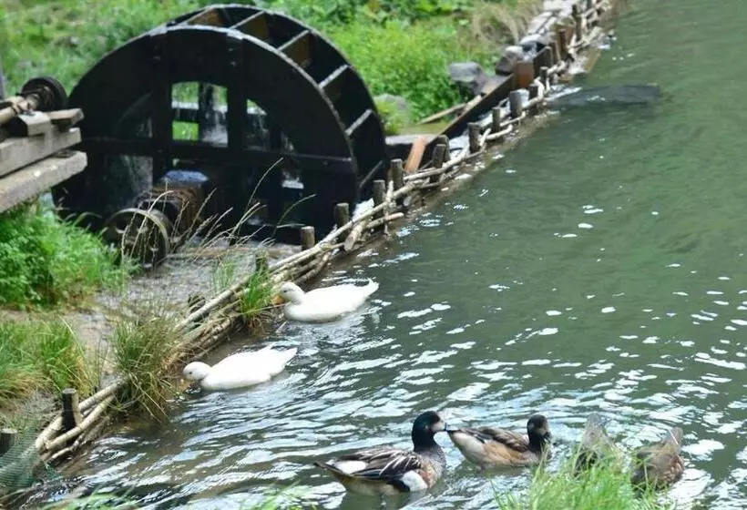 Majatalo Păstrăvăria Alex