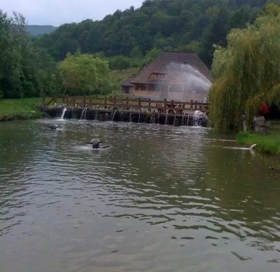 Majatalo Păstrăvăria Alex