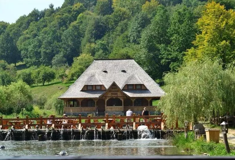 Majatalo Păstrăvăria Alex