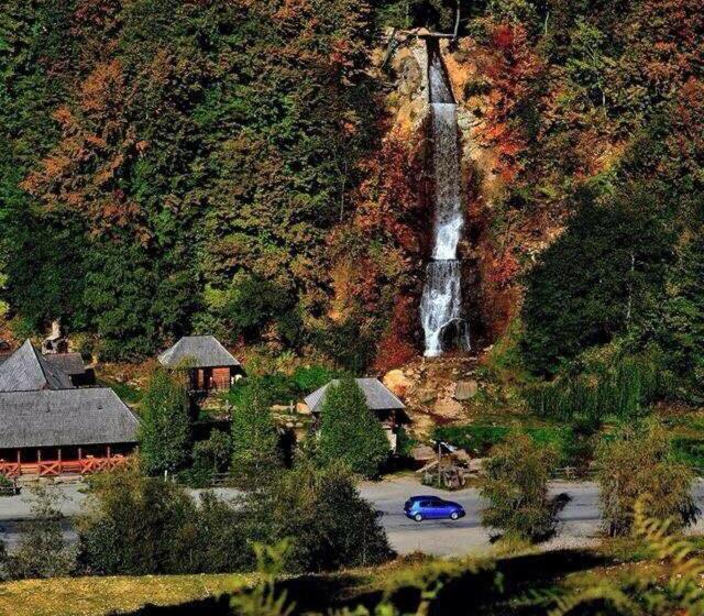 פנסיון Păstrăvăria Alex