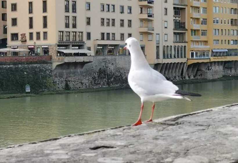 Florence Rooms Novella