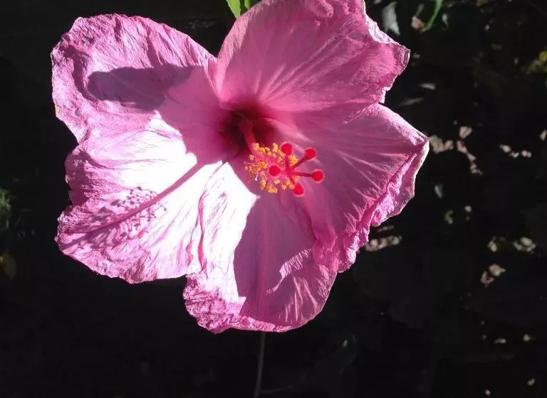 Aamiaismajoitus (B&B) Hosteria Guachapeli