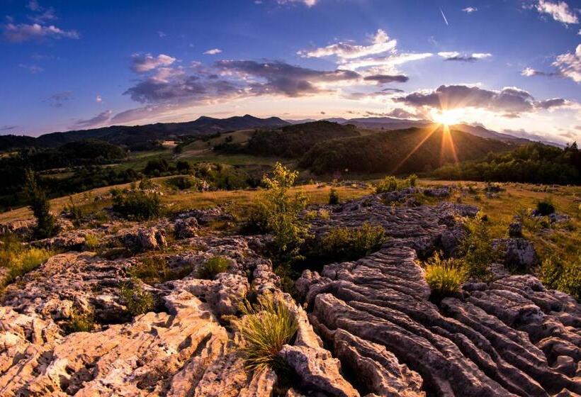 膳宿费 Conacu´ Boierului