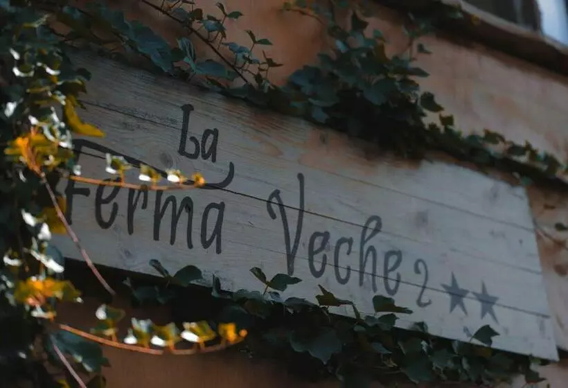 ペンション La Ferma Veche Bogdana
