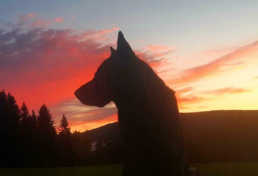 Пансион Penzion U Dračí Skaly