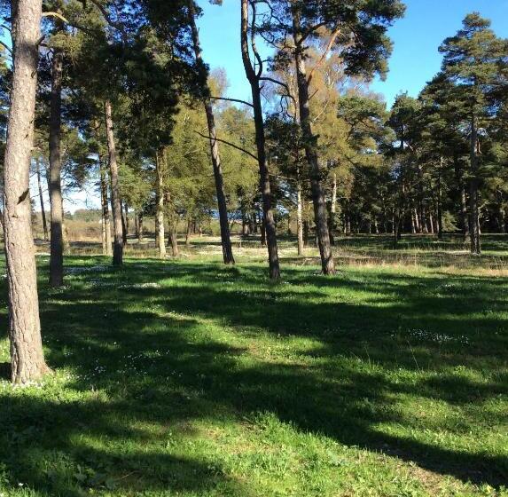 Strandakar Hotell & Restaurang