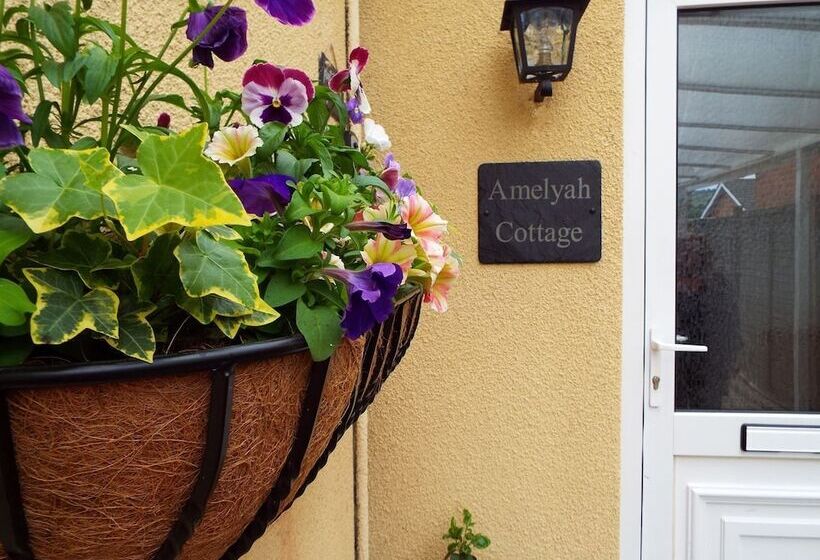 Relaxing Studio Sauna Luxe Bed Pet Friendly