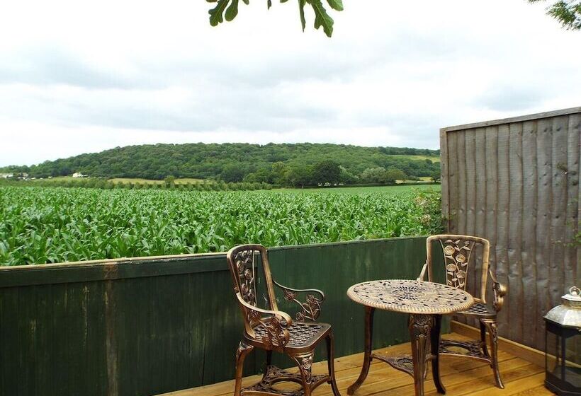 Relaxing Studio Sauna Luxe Bed Pet Friendly