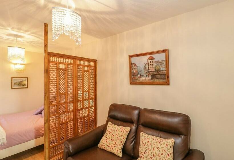 Relaxing Studio Sauna Luxe Bed Pet Friendly