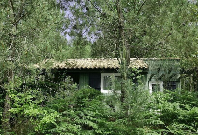 אתר נופש Village & Spa Les Ventoulines