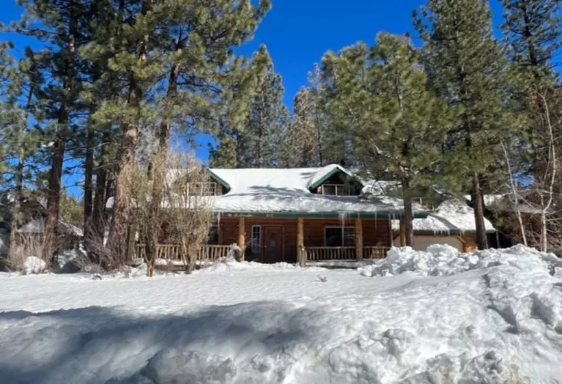 Abe's Cool Cabin