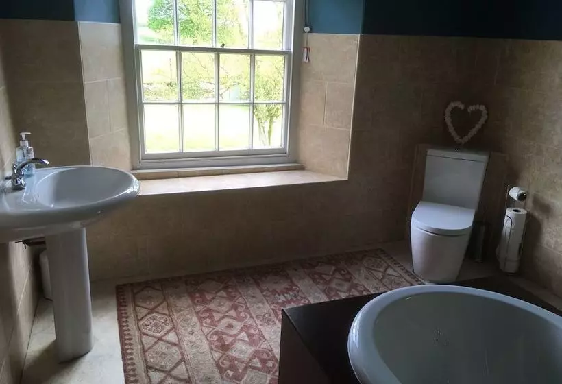B&b 23