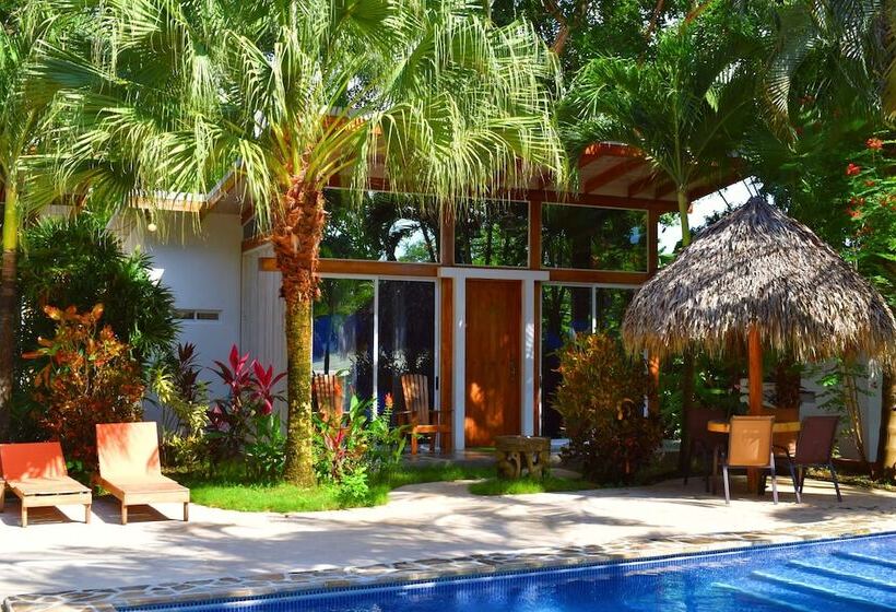 فندق Fuego Lodge