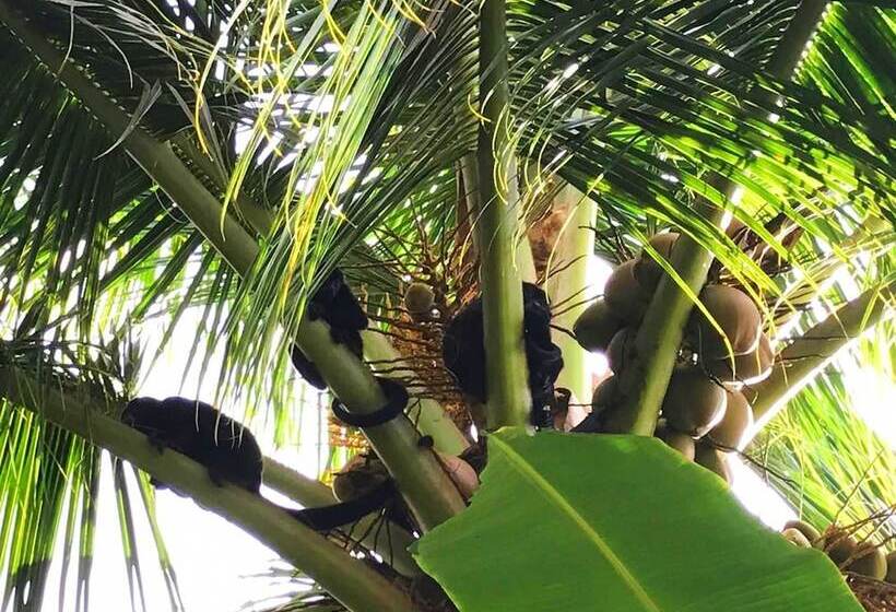 فندق Fuego Lodge