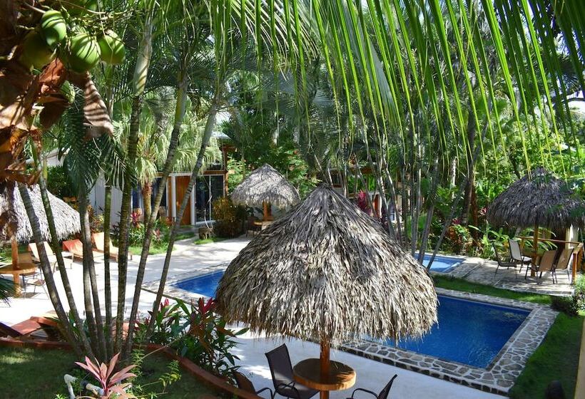 فندق Fuego Lodge