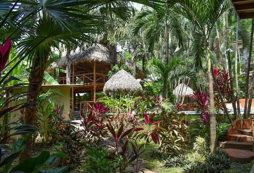 فندق Fuego Lodge