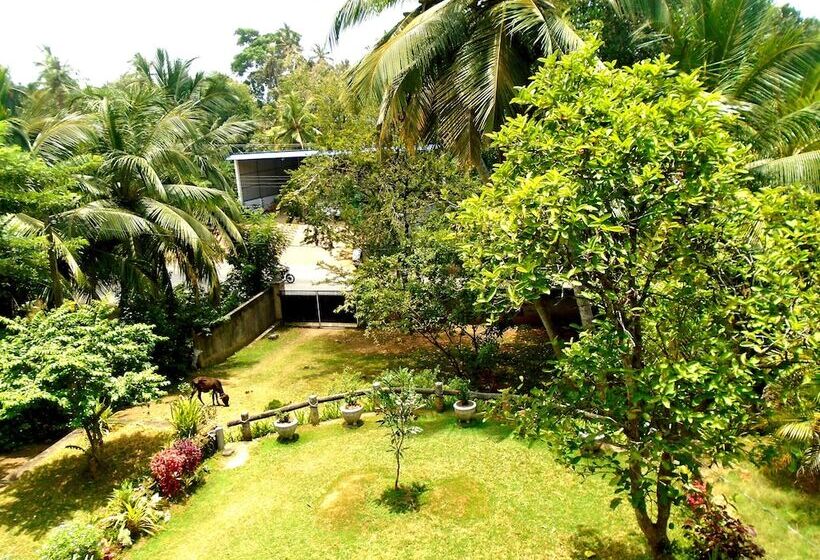 פנסיון Bee Line Cinnamon Estate Villa