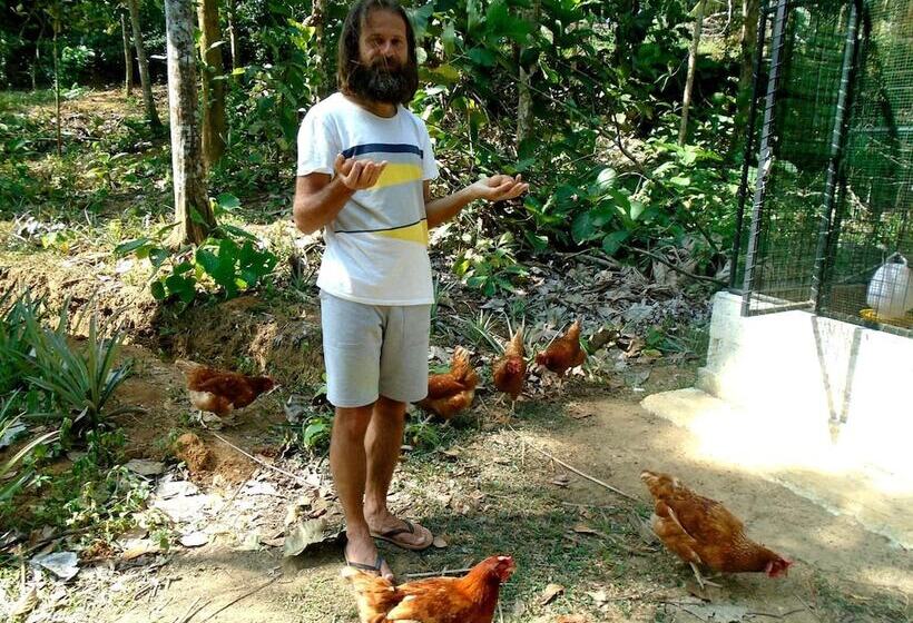 פנסיון Bee Line Cinnamon Estate Villa