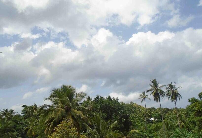 פנסיון Bee Line Cinnamon Estate Villa