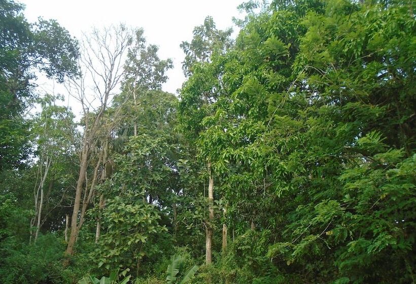 פנסיון Bee Line Cinnamon Estate Villa