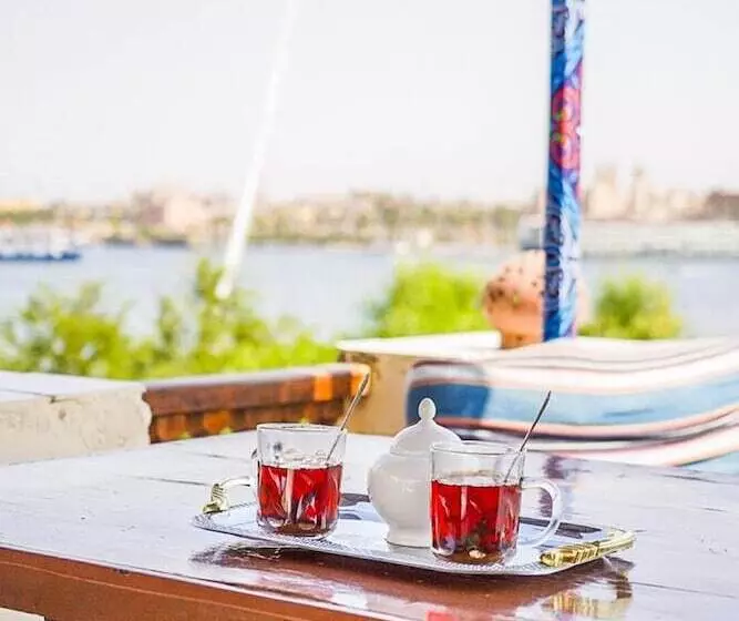 پانسیون Nile Castle