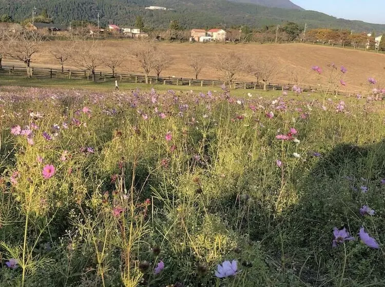 Ryokan Villa Montpetre
