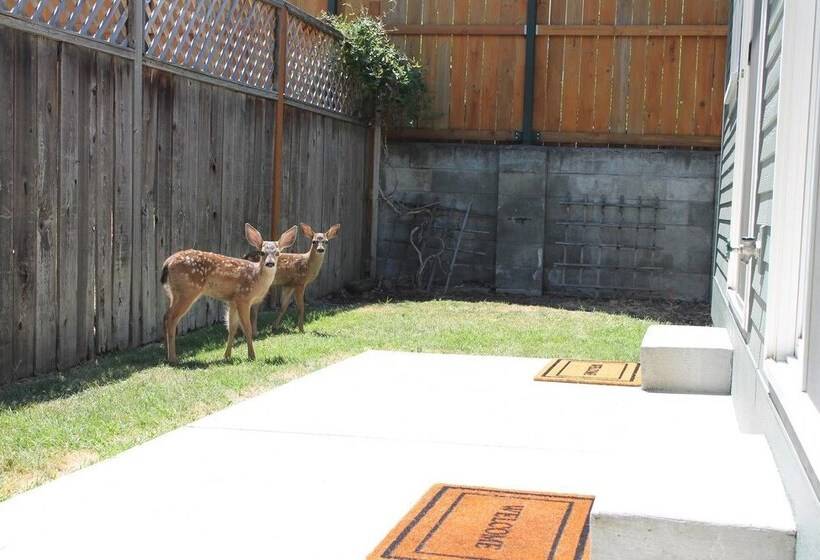 The Pioneer Craftsman House   Closest To Osf