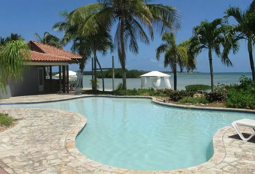 استراحتگاه Grand Bahía Ocean View Hotel