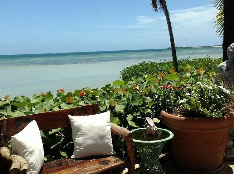 استراحتگاه Grand Bahía Ocean View Hotel