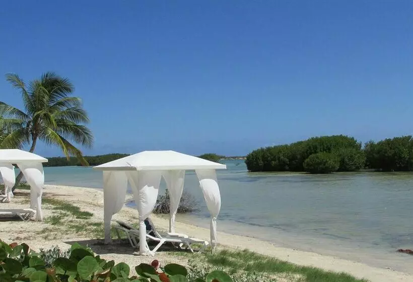 استراحتگاه Grand Bahía Ocean View Hotel