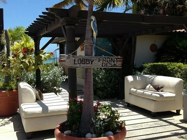 استراحتگاه Grand Bahía Ocean View Hotel