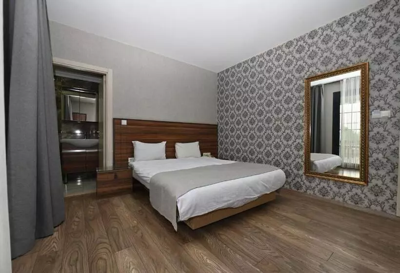 Albatros Premier Hotel   Special Class