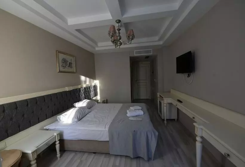 Albatros Premier Hotel   Special Class