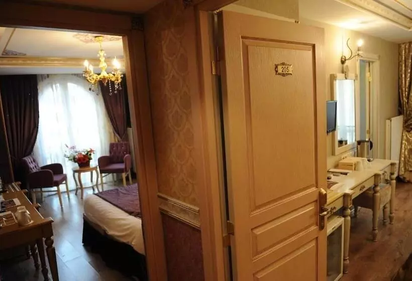 Albatros Premier Hotel   Special Class